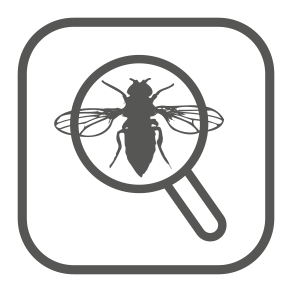 Monitoring szkodników